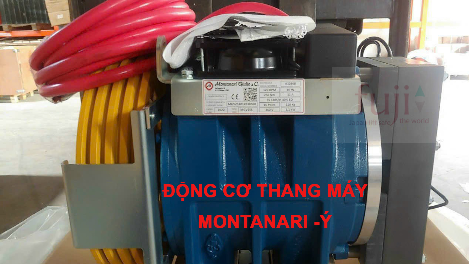 động cơ motanari-ý