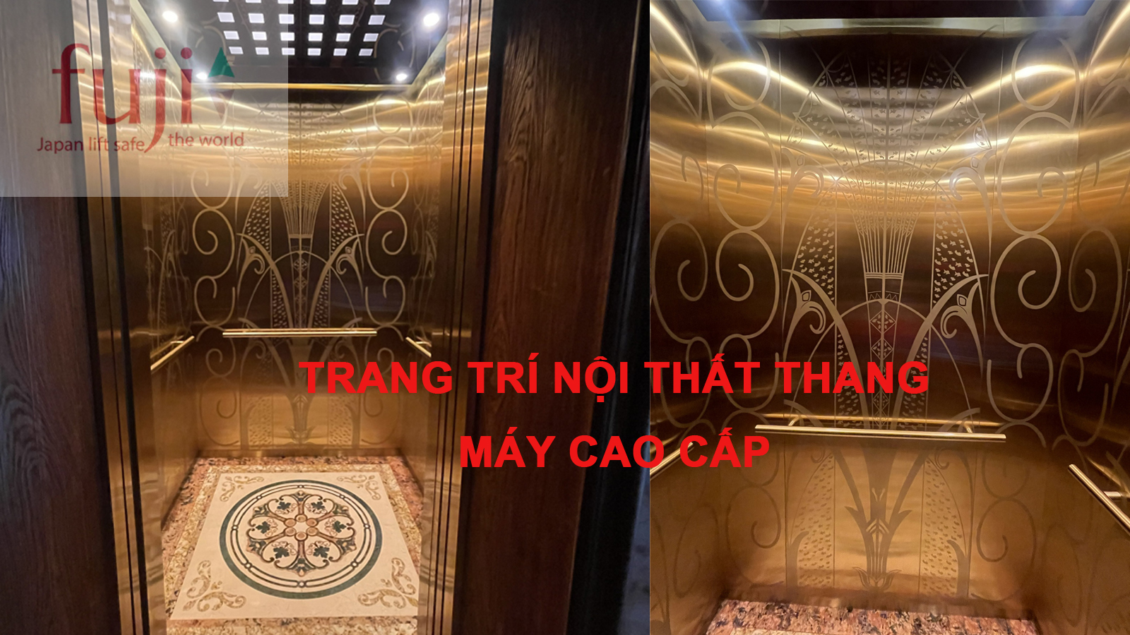 trang trí nội thất thang máy cao cấp