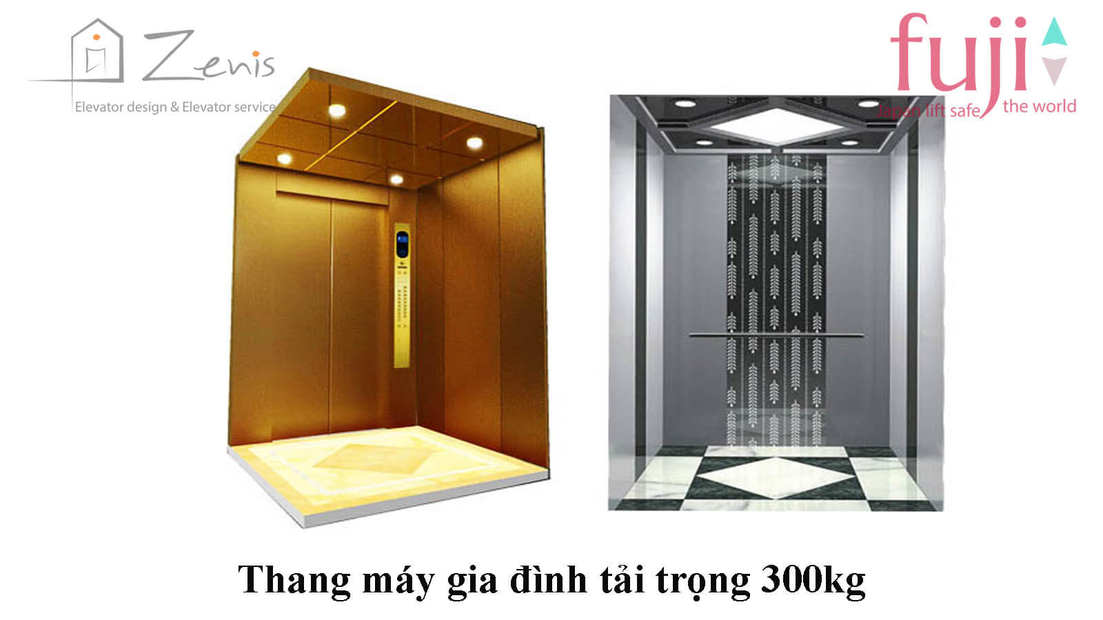 Thang máy gia đình tải trọng 300kg