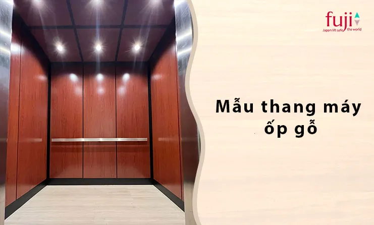 Mẫu thang máy giá rẻ ốp gỗ