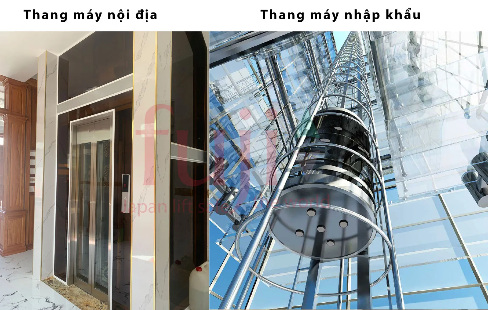 thang máy nội địa và thang máy nhập khẩu