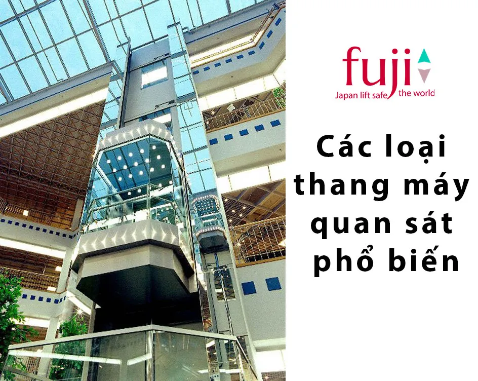 Các loại thang máy quan sát phổ biến