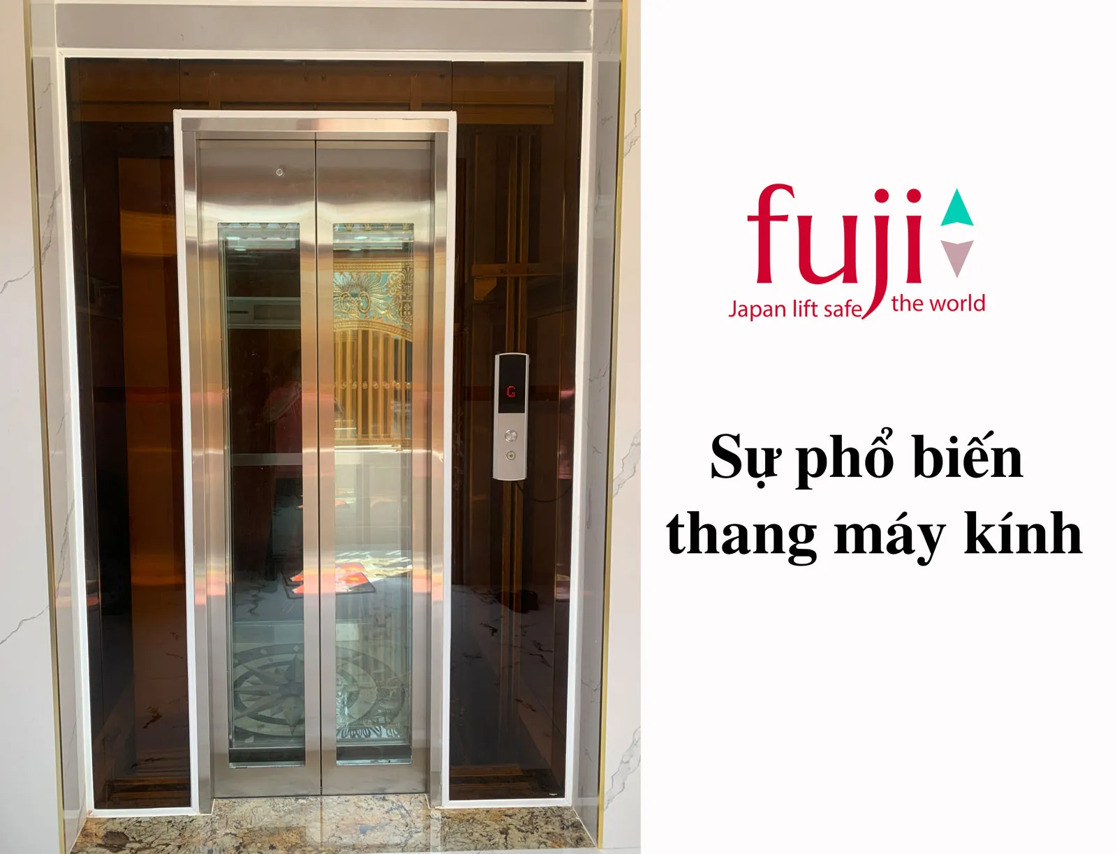 Sự phổ biến và tiện ích của thang máy kính gia đình