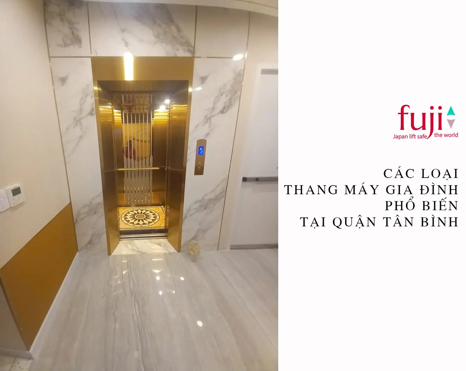 Các loại thang máy gia đình phổ biến tại Quận Tân Bình