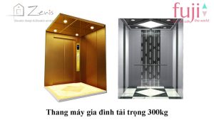 Thang máy gia đình tải trọng 300kg