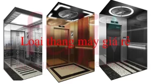 Các loại thang máy giá rẻ