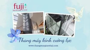 Lắp thang máy kính cường lực